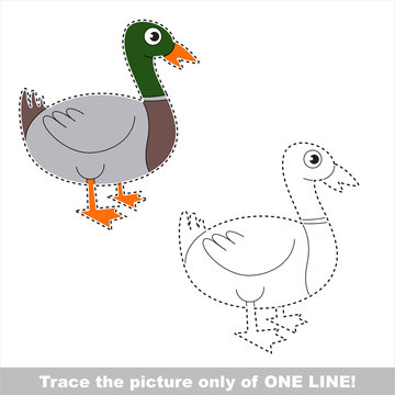 Vector trace educational game for preschool kids.