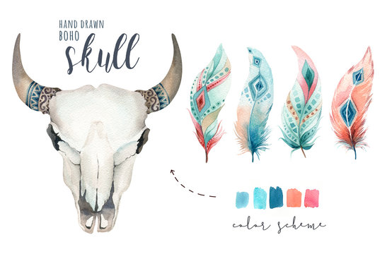 Watercolor bohemian cow skull.  Western mammals. Watercolour hipster deer boho decoration print antlers. flowers, feathers. Isolated on white background. Boho style.  Hand drawn ethnic themed design.