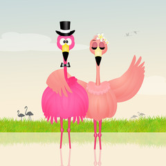 Fototapeta premium Wedding of pink flamingos