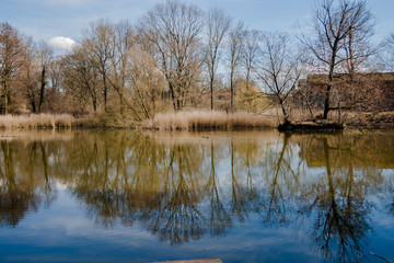 Impressionen Einsame Landschaft mit See und Bäumen