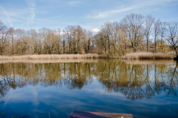Impressionen Einsame Landschaft mit See und Bäumen
