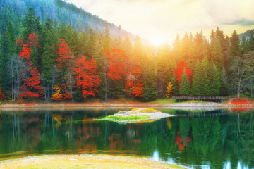 Obrazy  malownicze jezioro w jesiennym lesie