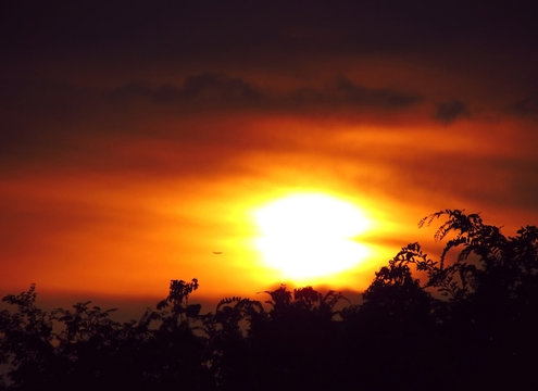 The airplane flew into the sun