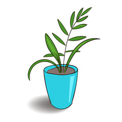 House plant isolated. Vector sketch 