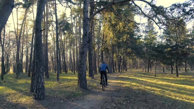 Mountain biking - biker cycling in a forest