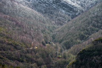Fototapeta na wymiar Mountain road through the winter forest