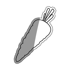 fresh carrot vegetable vector illustration graphic design