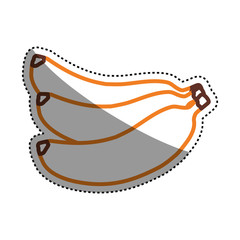 Delicious bananas fruit vector illustration graphic design