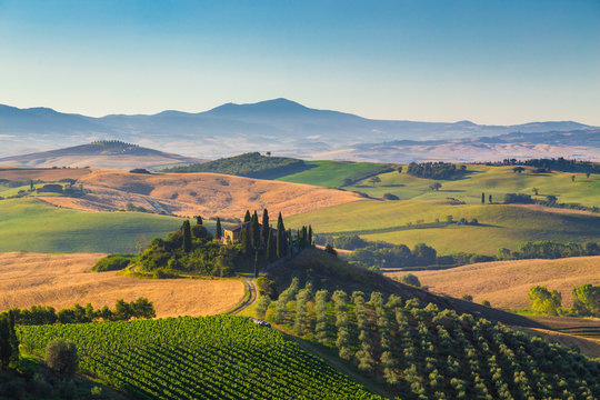 Scenic Tuscany landscape at sunrise, Val d'Orcia, Italy