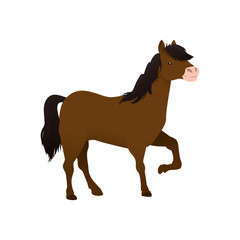 Horse farm animal vector illustration graphic design