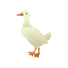 Duck farm animal vector illustration graphic design