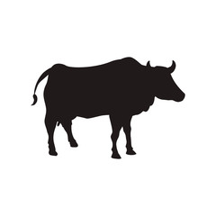 Bull farm animal vector illustration graphic design