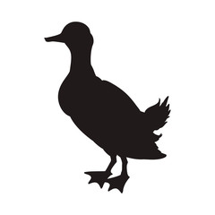 Duck farm animal vector illustration graphic design