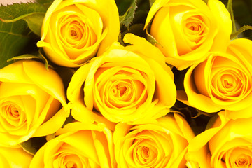 gelbe Rosen auf einem Holzhintergrund