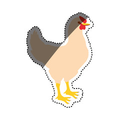 Chicken farm animal vector illustration graphic design