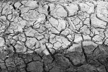 Arid nature. Closeup Crack soil black and white texture background.