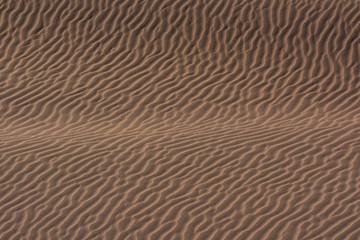 Sandrippeln in der Namib (Namibia)