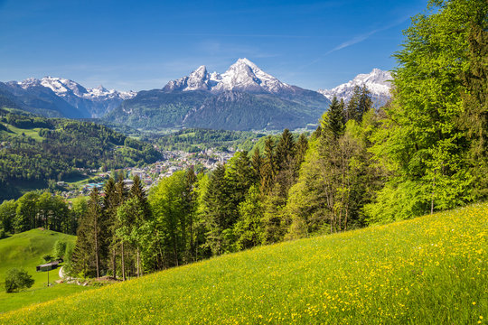 Watzmann mountain peak with blooming meadows in summer, Berchtesgaden, Bavaria, Germany