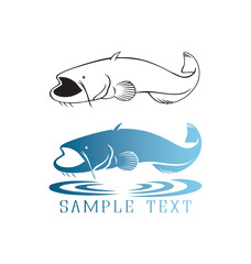 Fototapeta premium fish catfish