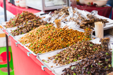 Bug fried sale business Asian Insect Snack food, High Protein from nature.