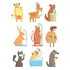 Naklejka premium Funny animals taking a shower and washing, set for label design. Hygiene and care cartoon detailed Illustrations