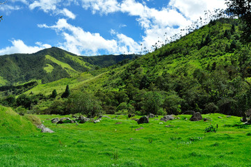 Fototapeta na wymiar Montañas en Valle de Cocora
