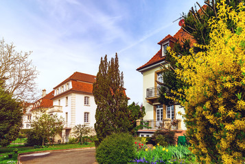 Classic french house in residential district of Strasbourg, blossom spring time, flowering and gardening.