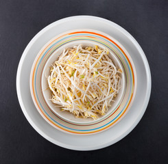 Bean Sprouts of black slate tray