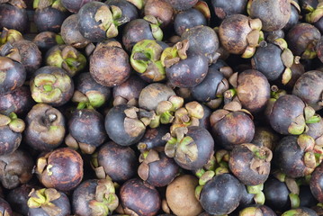 Мангостин - фрукт по внешнему виду выглядит как гранат, он покрыт толстой коркой фиолетового цвета 