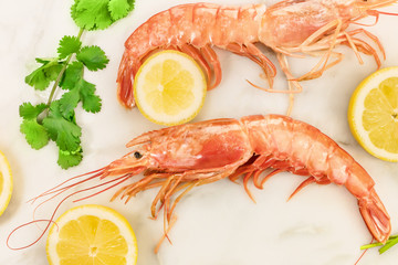 Raw shrimps with slices of lemon, cilantro, and copyspace