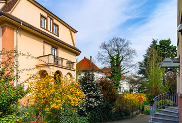 Fototapeta na wymiar Classic french house in residential district of Strasbourg, blossom spring time, flowering and gardening.