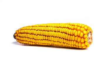 Yellow corn on white background