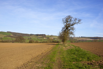 Fototapeta na wymiar scenic farmland in yorkshire
