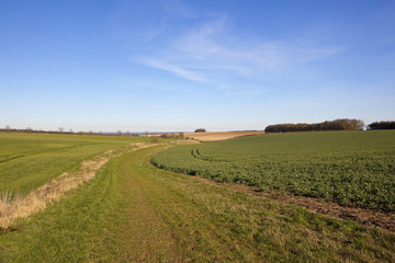 Fototapeta na wymiar scenic bridleway and farmland