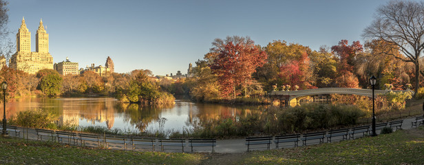 Bow bridge Central Park