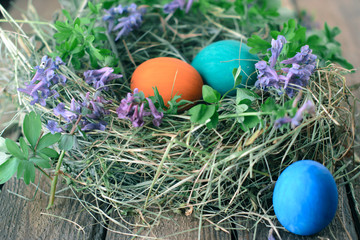 Multi-colored Easter eggs on a wooden background in the nest.