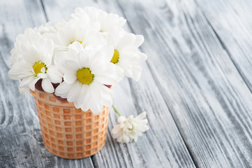 Fresh daisy flowers in pot on shabby wooden table