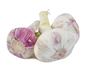 Three young heads of garlic