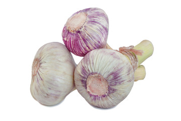 Three young whole large garlic heads