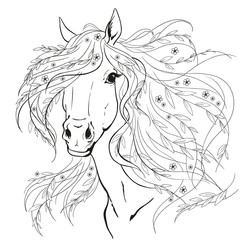 Horse portrait. Horse head with flowers. Black lines on a white background.
