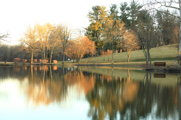 Obraz premium trees and lake