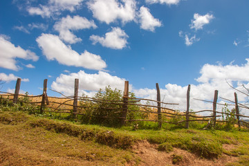 Fototapeta premium Summer day. Wooden fence.