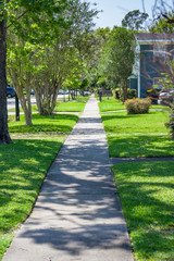Sidewalk in the historic Houston Heights