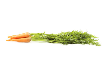 Fresh carrots isolated on a white background