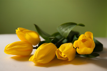 Bukiet żółtych tulipanów na biało zielonym tle