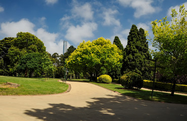 Grooming and beauty of the parks