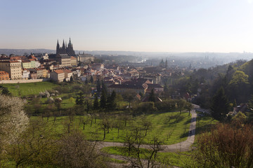 Obraz premium Morning spring Prague City with gothic Castle and the green Nature, Czech Republic
