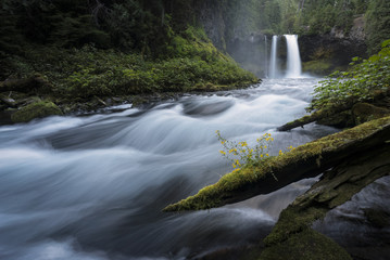 Koosah Falls Waterfall - Willamette National Forest - Oregon