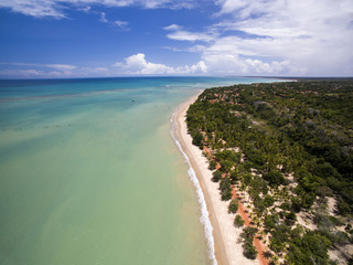 Fototapeta na wymiar Aerial view Green sea at a brazilian beach coast on a sunny day in Cumuruxatiba, Bahia, Brazil. february, 2017.