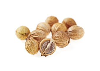 Seeds of coriander on a white background, whole and half. Selective focus.